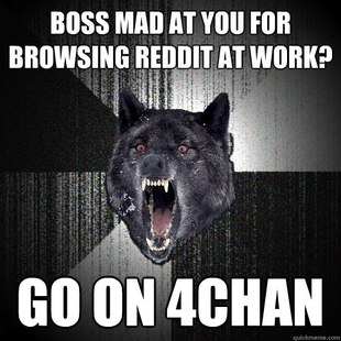 Insanity Wolf