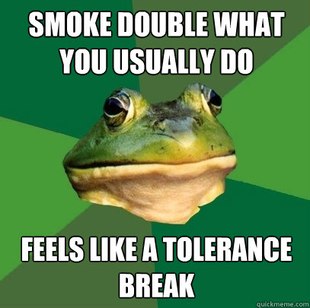 Foul Bachelor Frog