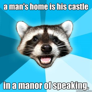 Lame Pun Coon