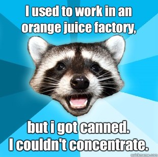 Lame Pun Coon