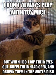 The Most Interesting Cat in the World