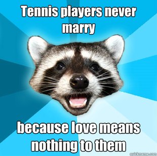 Lame Pun Coon