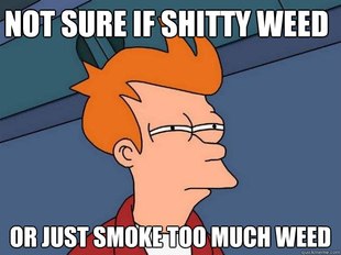 Futurama Fry