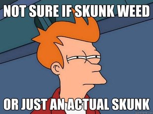 Futurama Fry