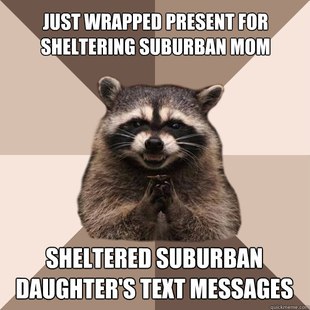 Evil Plotting Raccoon