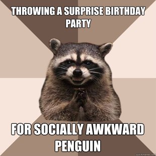 Evil Plotting Raccoon