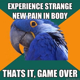 Paranoid Parrot