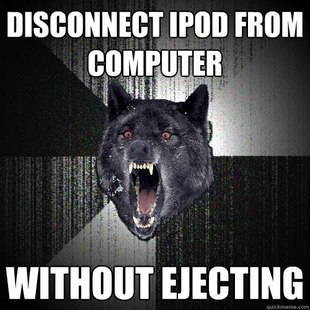 Insanity Wolf