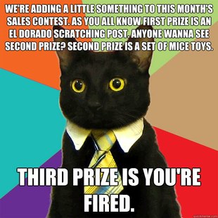 Business Cat