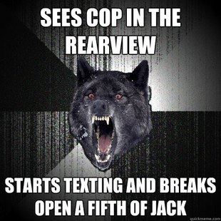 Insanity Wolf