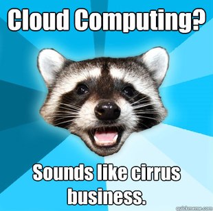 Lame Pun Coon