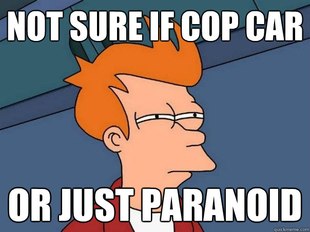 Futurama Fry