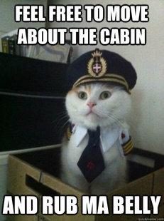 Captain kitteh