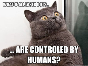 conspiracy cat