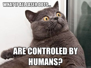 conspiracy cat