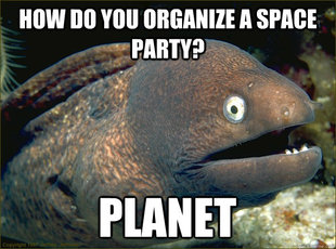 Bad Joke Eel