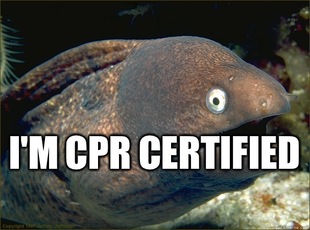 Bad Joke Eel