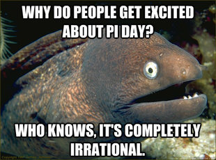 Bad Joke Eel