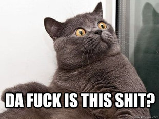 conspiracy cat
