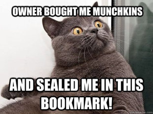 conspiracy cat