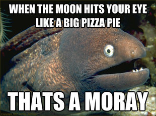 Bad Joke Eel