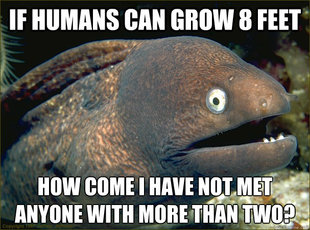 Bad Joke Eel