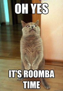 Horrorcat