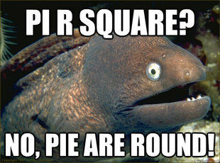 Bad Joke Eel