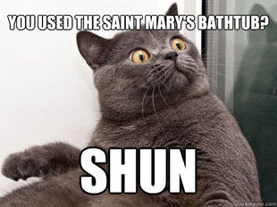 conspiracy cat
