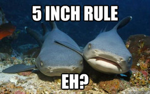 Compassionate Shark Friend