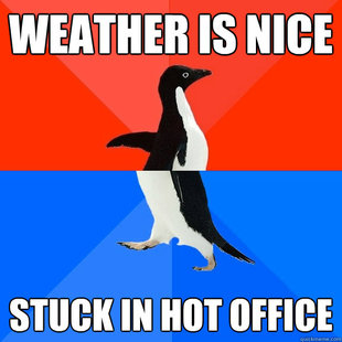 Socially Awesome Awkward Penguin