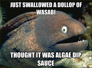 Bad Joke Eel