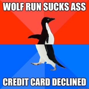 Socially Awesome Awkward Penguin