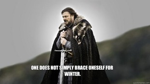 Ned stark winter is coming