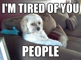 Worry Mutt