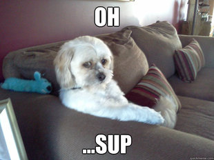 Worry Mutt