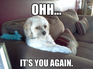 Worry Mutt