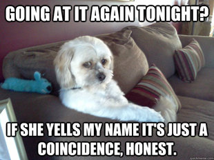 Worry Mutt