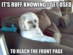 Worry Mutt
