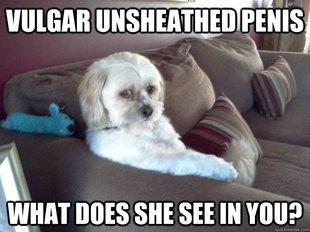Worry Mutt