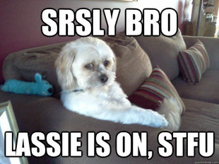 Worry Mutt
