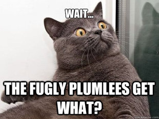 conspiracy cat