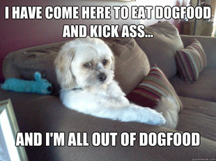 Worry Mutt