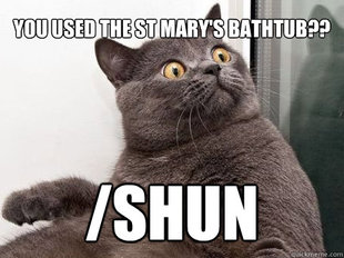 conspiracy cat