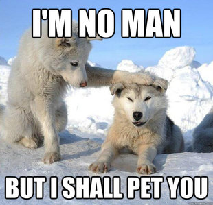 Caring Husky