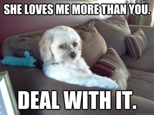 Worry Mutt