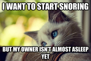 First World Cat Problems