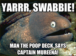 Bad Joke Eel