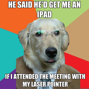 Business Dog
