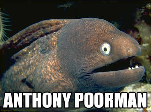 Bad Joke Eel